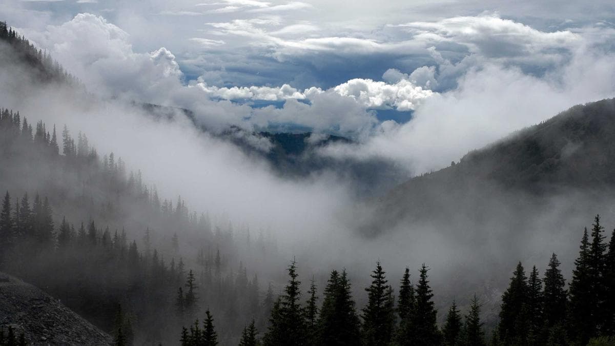 Urban Art Walk Augsburg