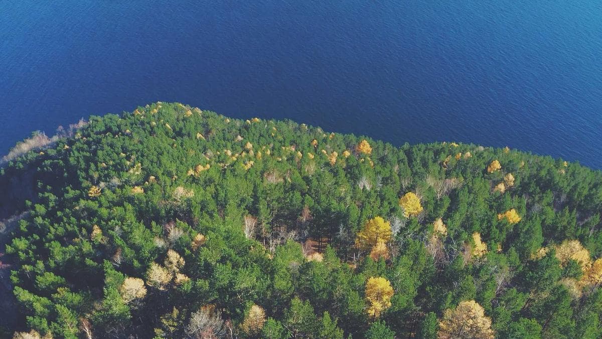 Stadtkultur Walk Bamberg