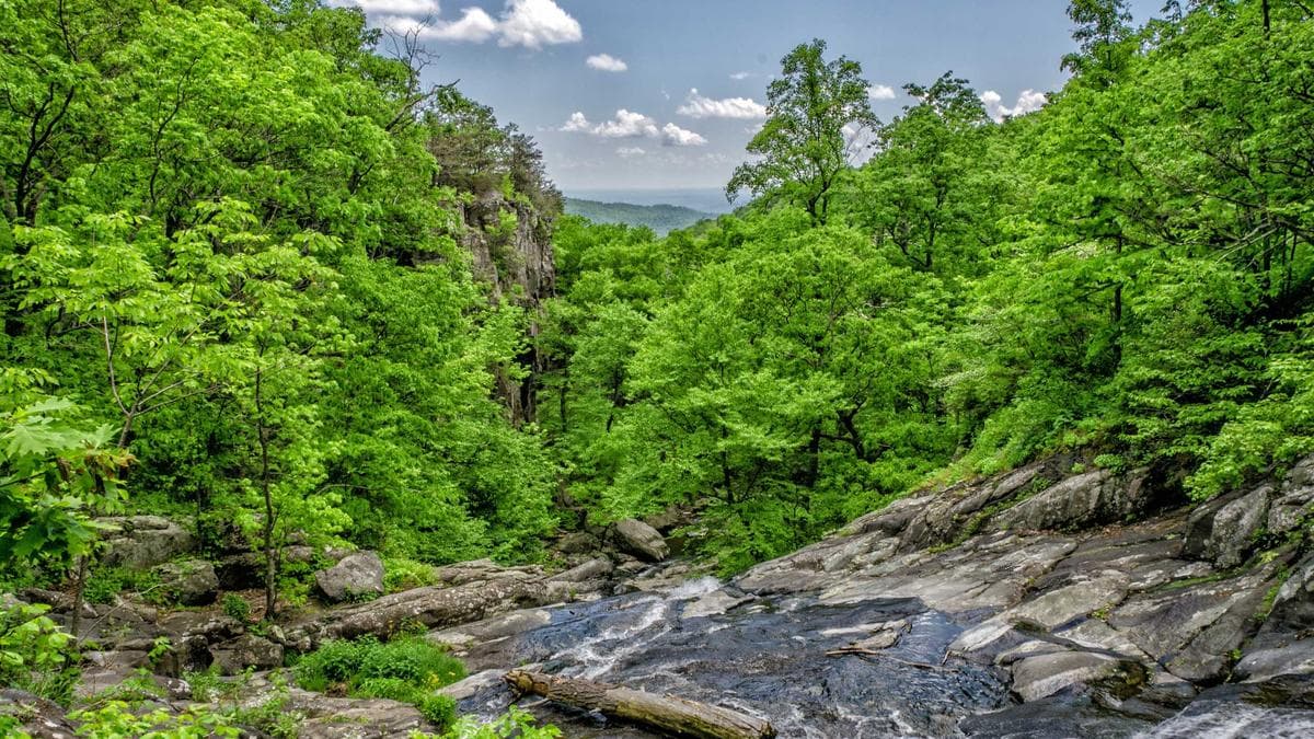 Rooftop Sundowner Berlin