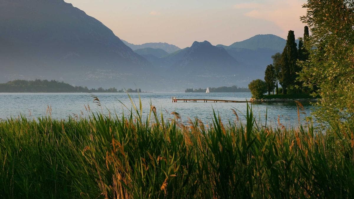 Beach Volleyball Cup Bremen
