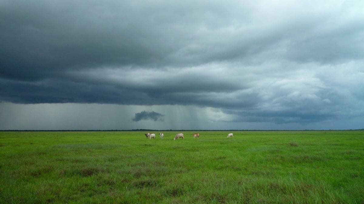 Outdoor Fitness Session Chemnitz