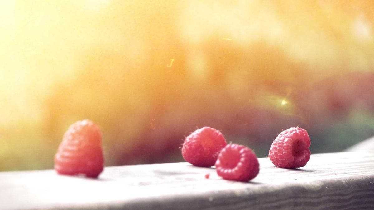 Aquarell Workshop Dresden