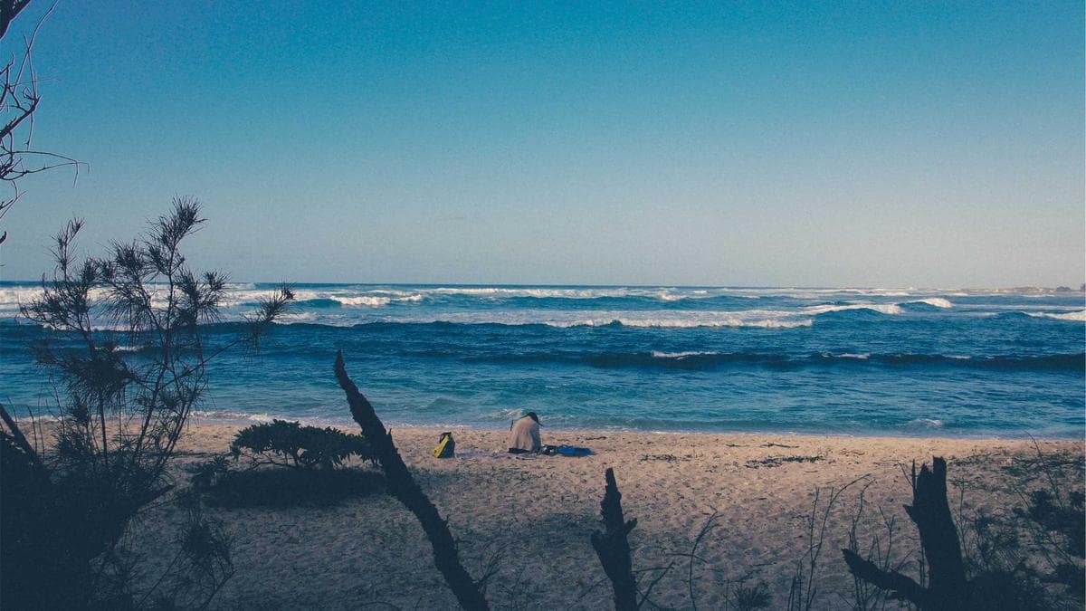 Rooftop Sundowner Dresden