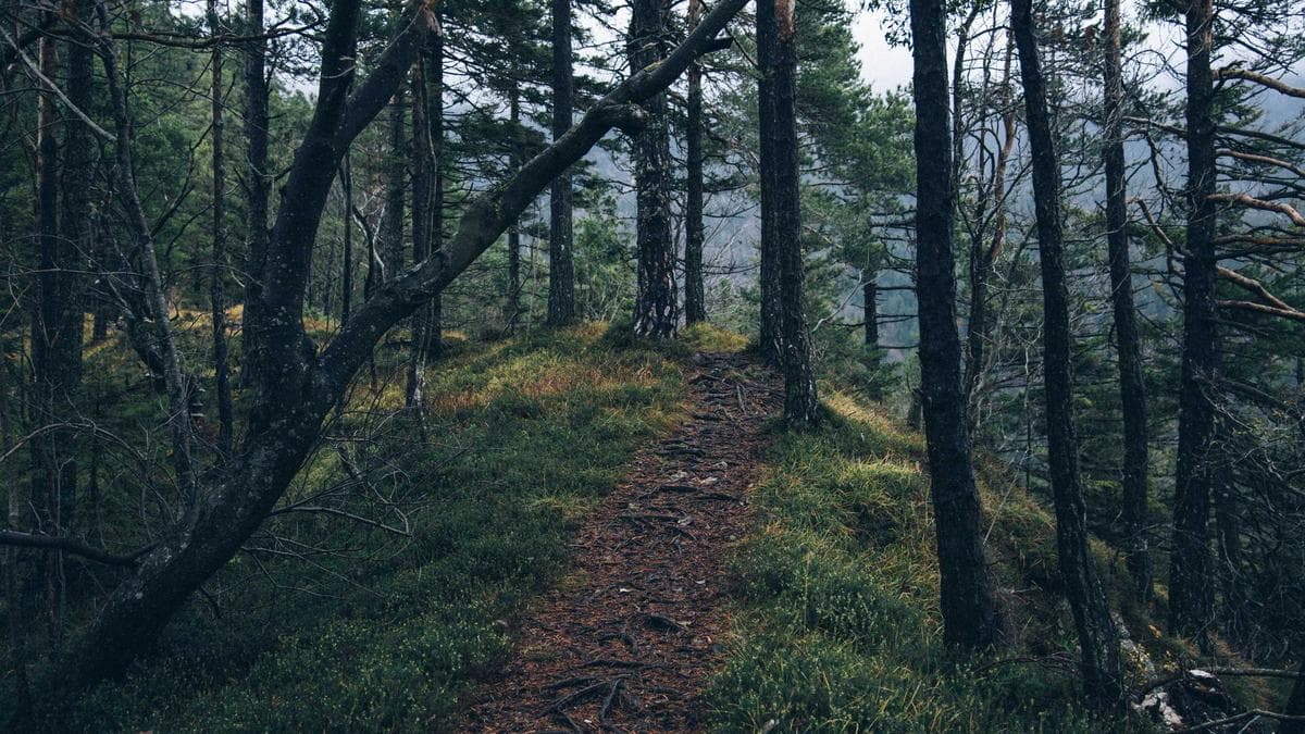 Board Game Evening Dresden