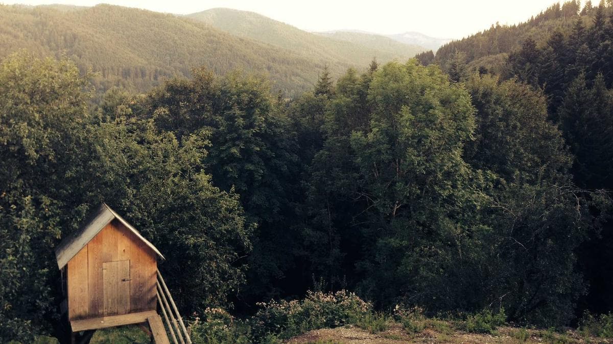 Study Skills Workshop Dresden