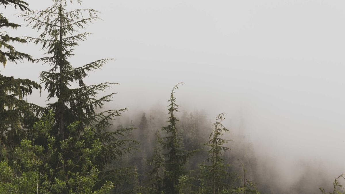Nachbarschaftsfest Düsseldorf