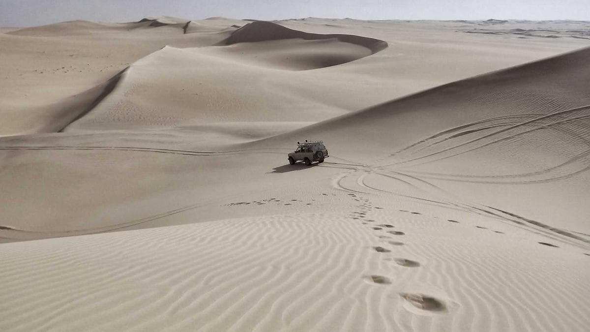 International Campus Meet Flensburg