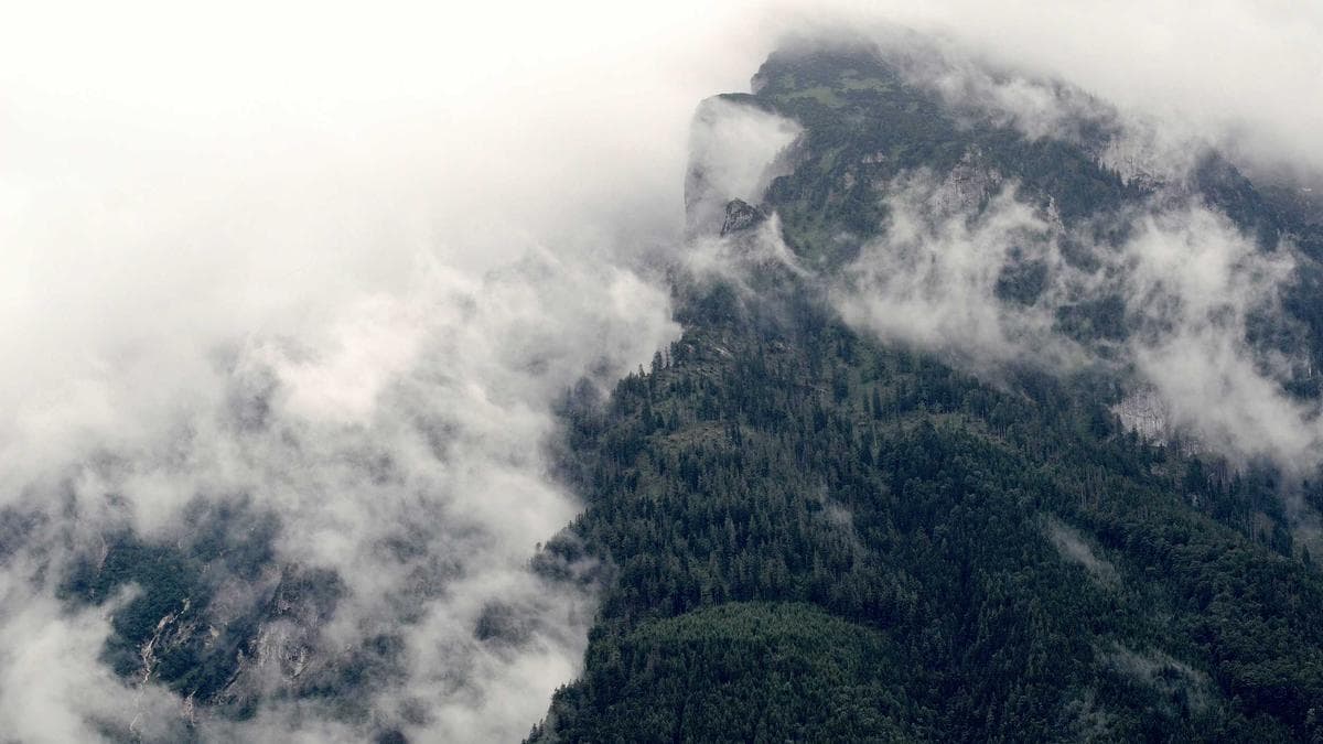 Rooftop Sundowner Freiburg