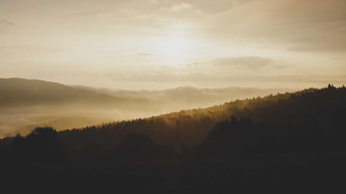 Community Garden Day Görlitz