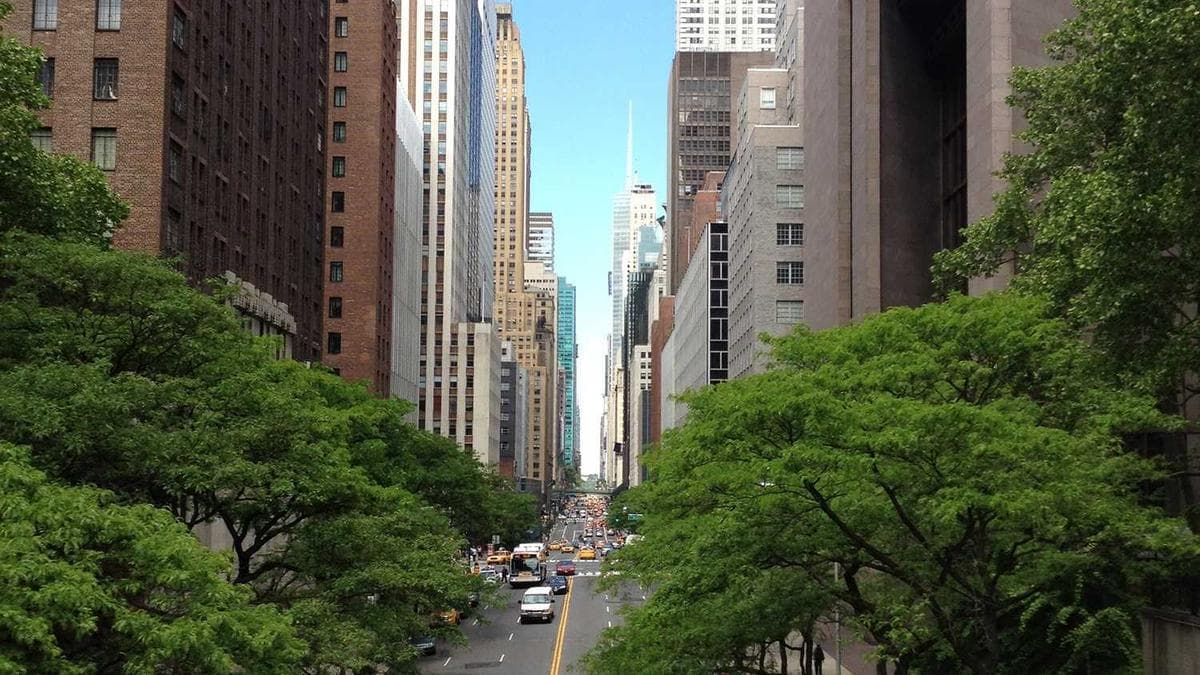 Board Game Evening Greifswald