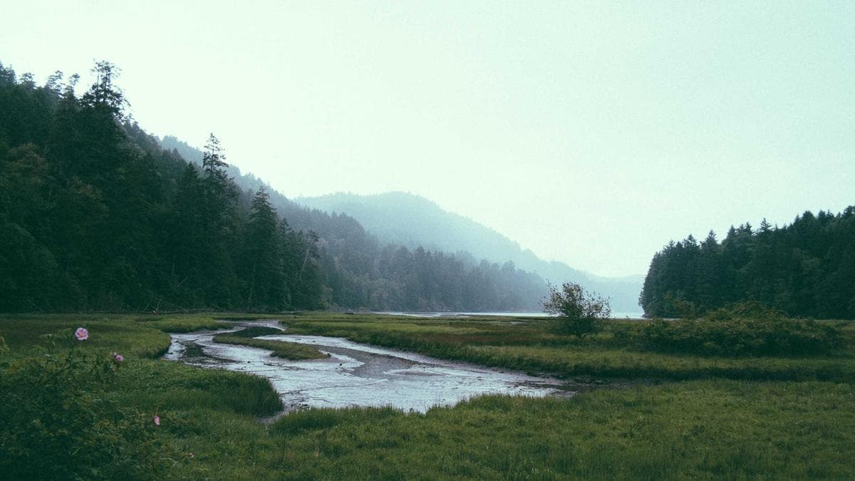 Life Drawing Hamburg