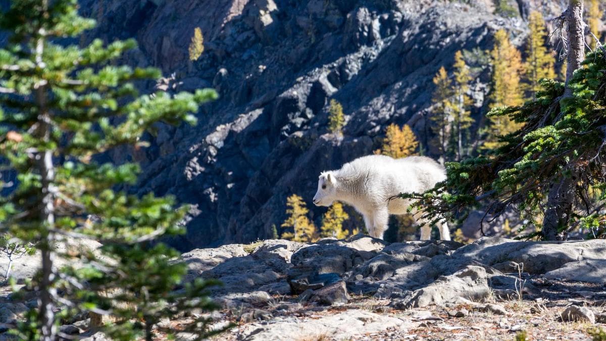 Impact Networking Hannover