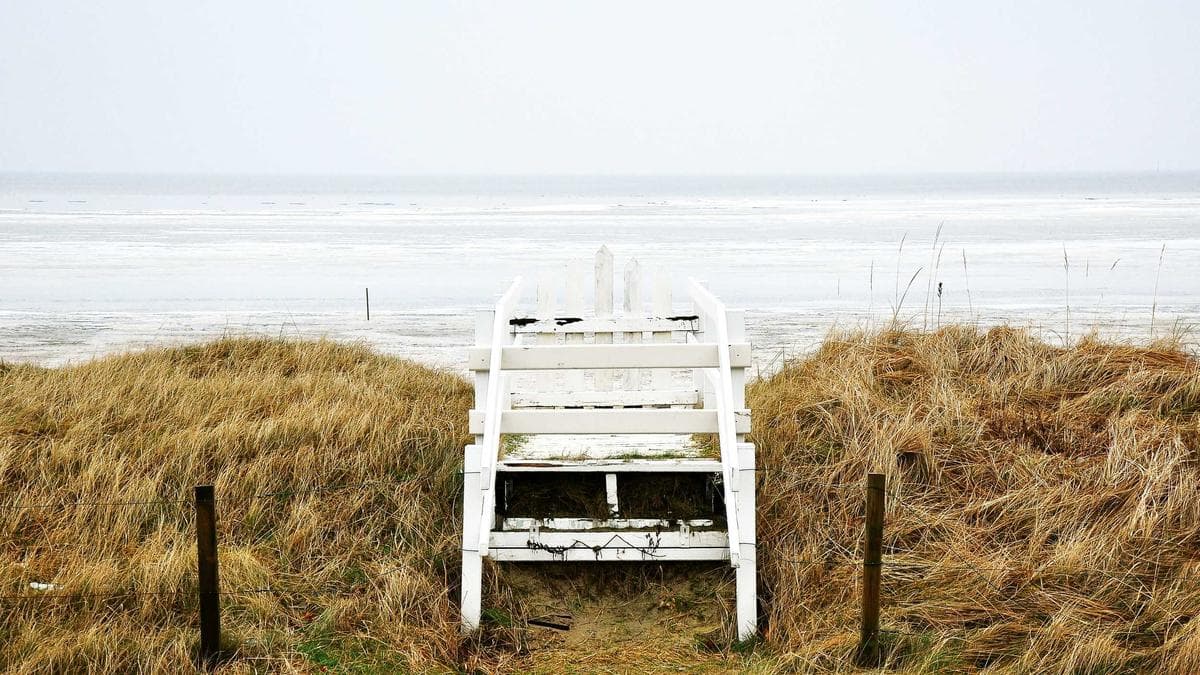 Yoga im Park Hannover