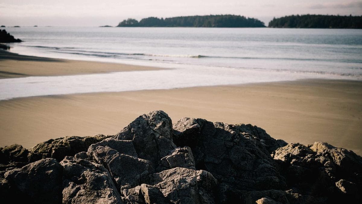 Urban Art Walk Köln