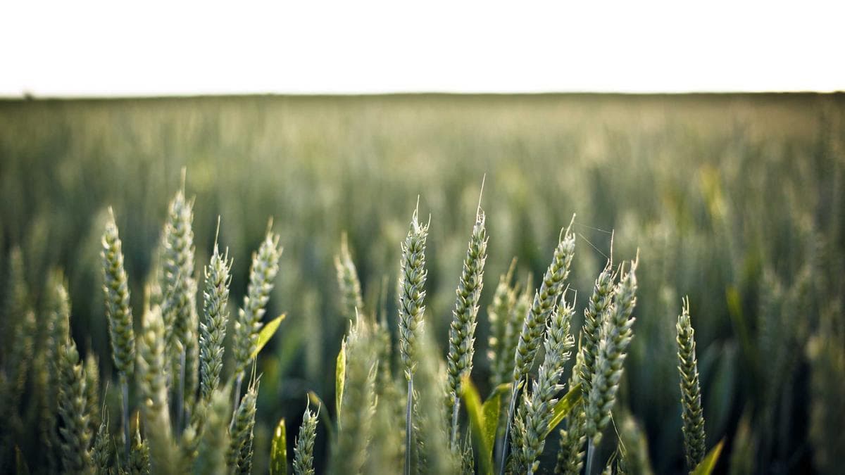 Street Food Weekend Leipzig