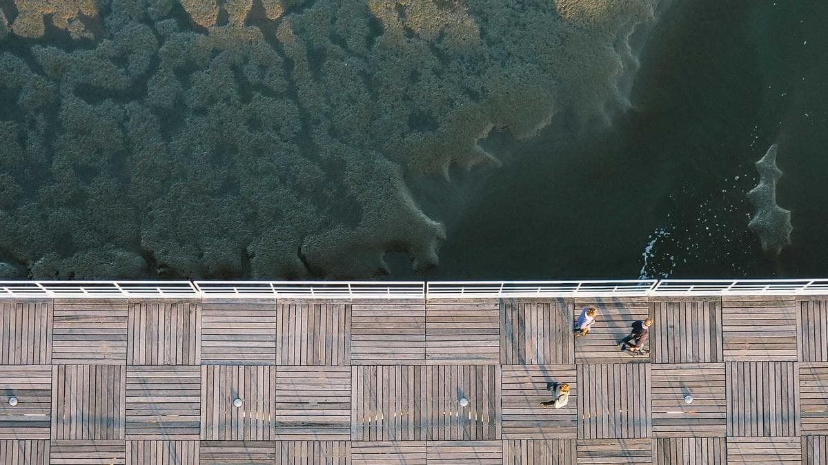 Open Studios München