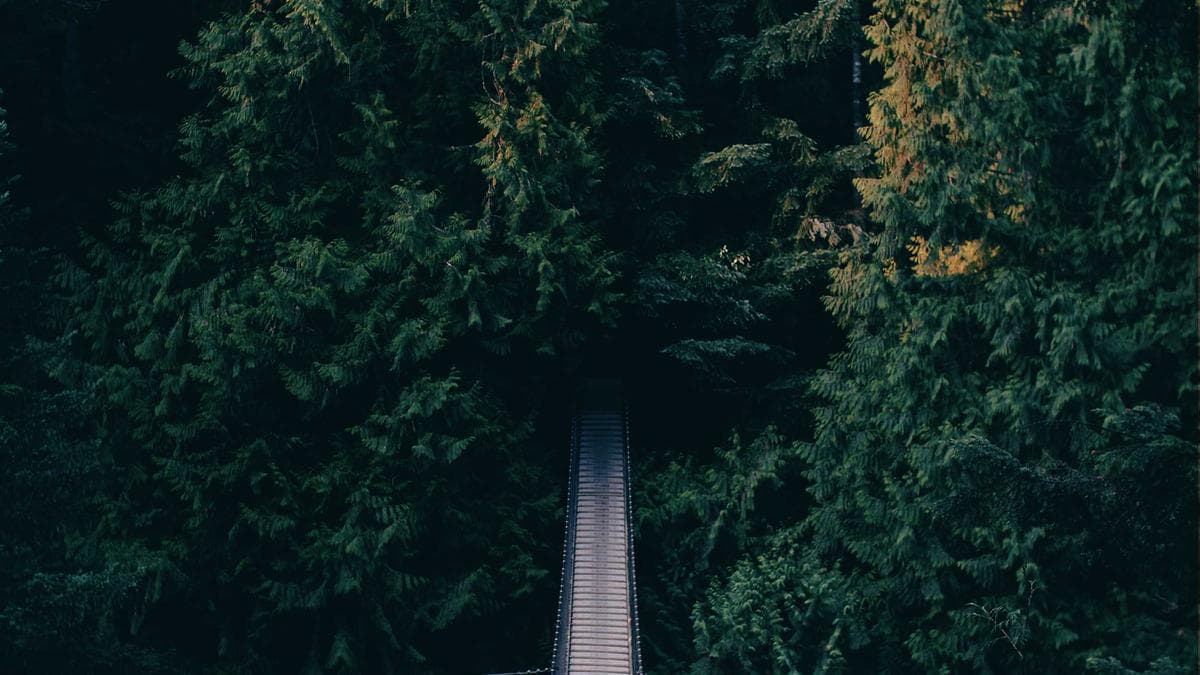 Study Skills Workshop Münster