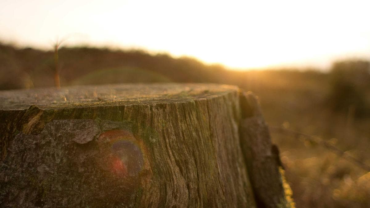 Open-Air Konzert in Nürnberg