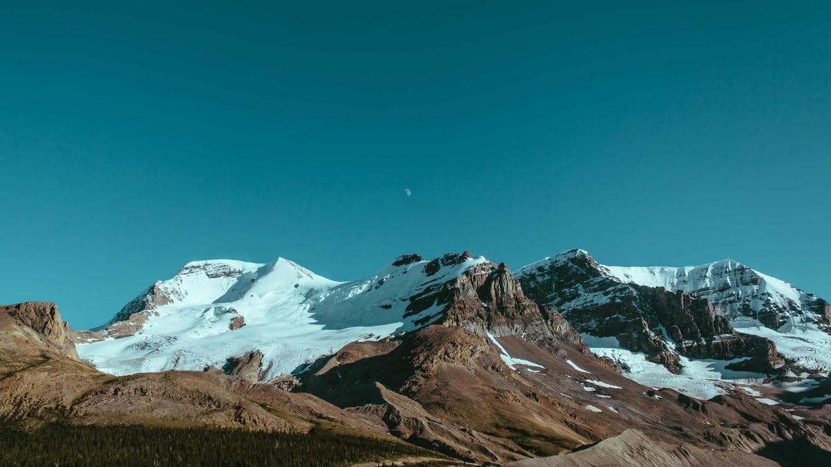 Yoga im Park Nürnberg
