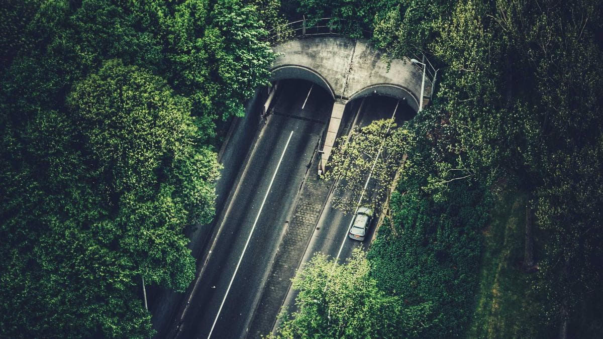 Electronic Sunset Oldenburg