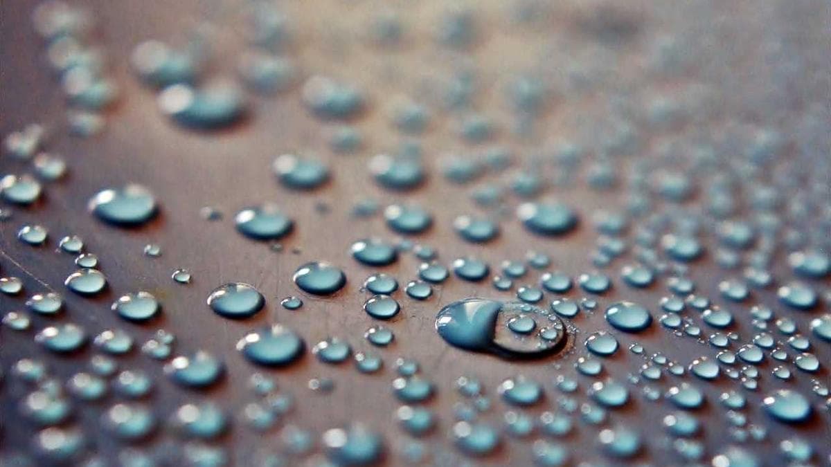 Jazz Night in Potsdam