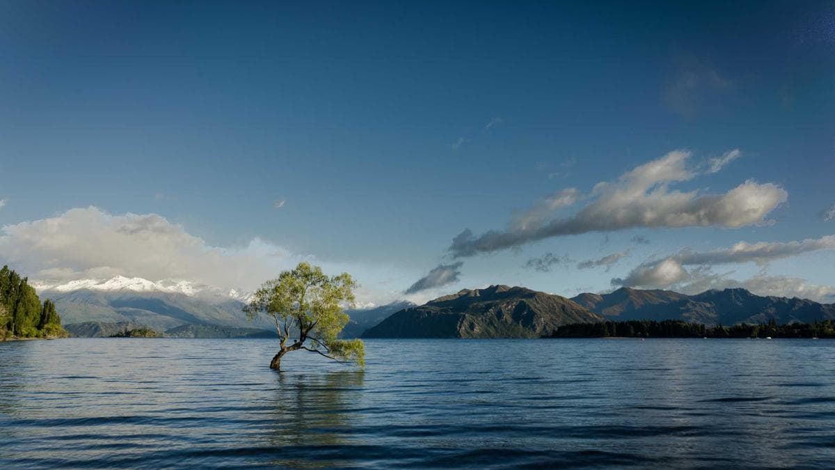 Student Startup Pitch Potsdam