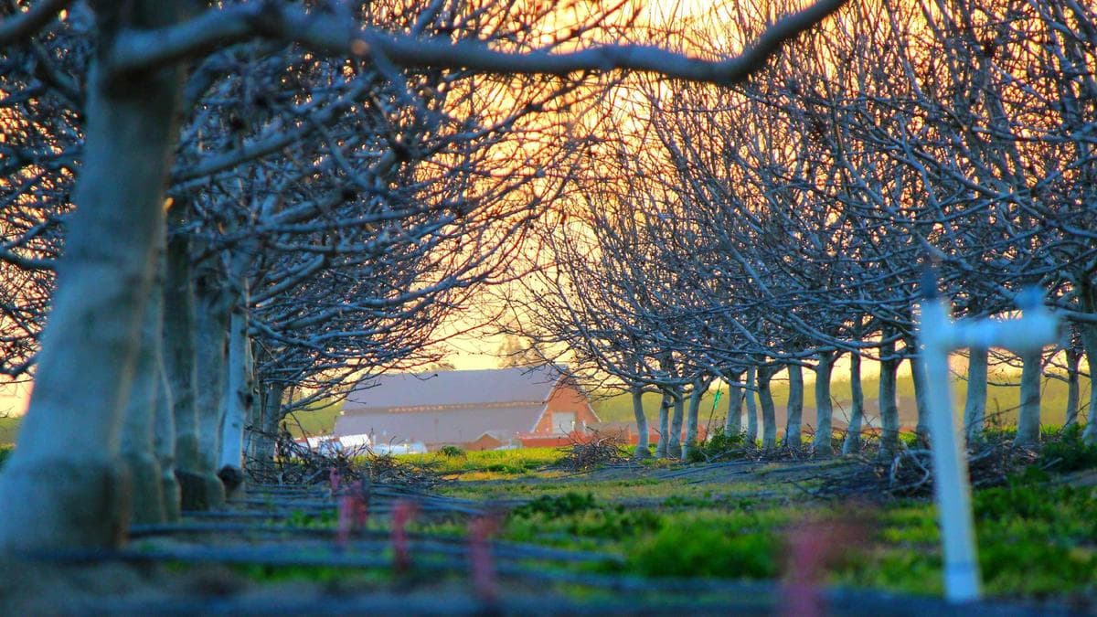 International Campus Meet Regensburg