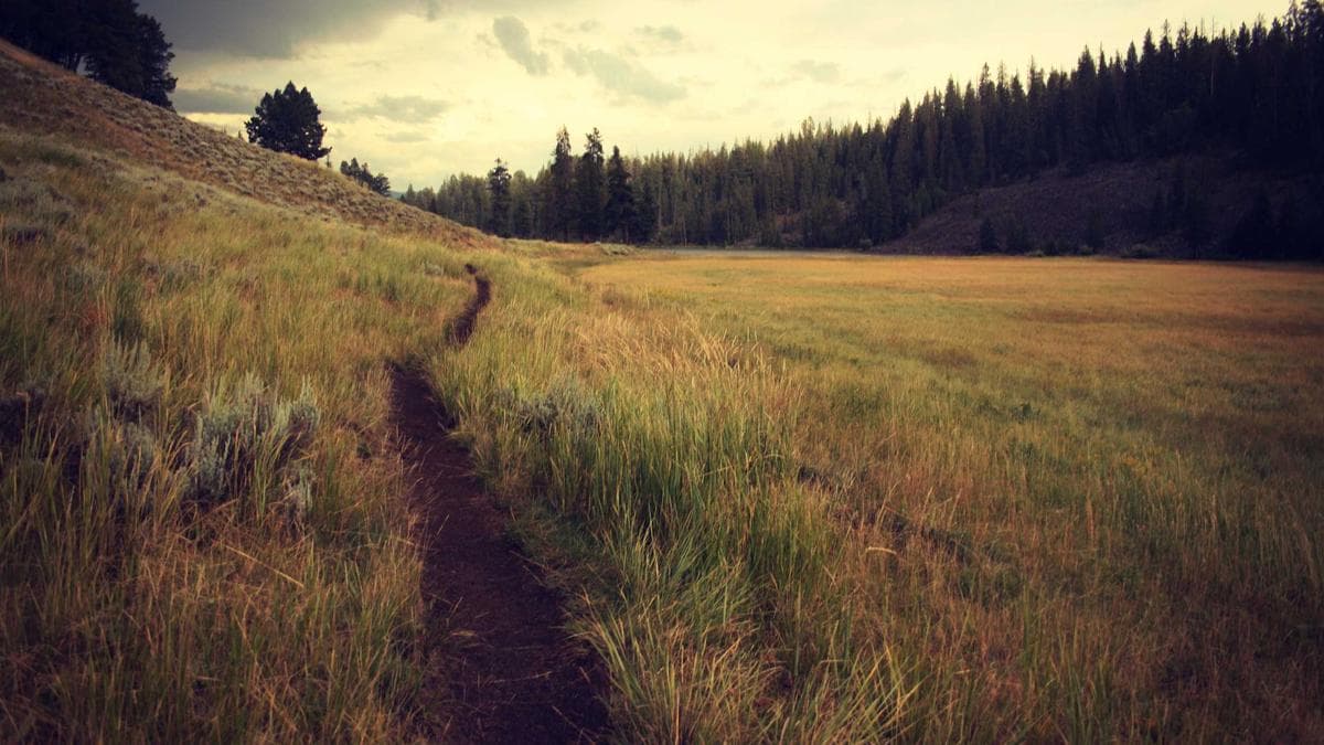 Salsa Social Rostock