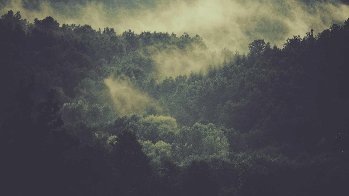 Community Run Saarbrücken