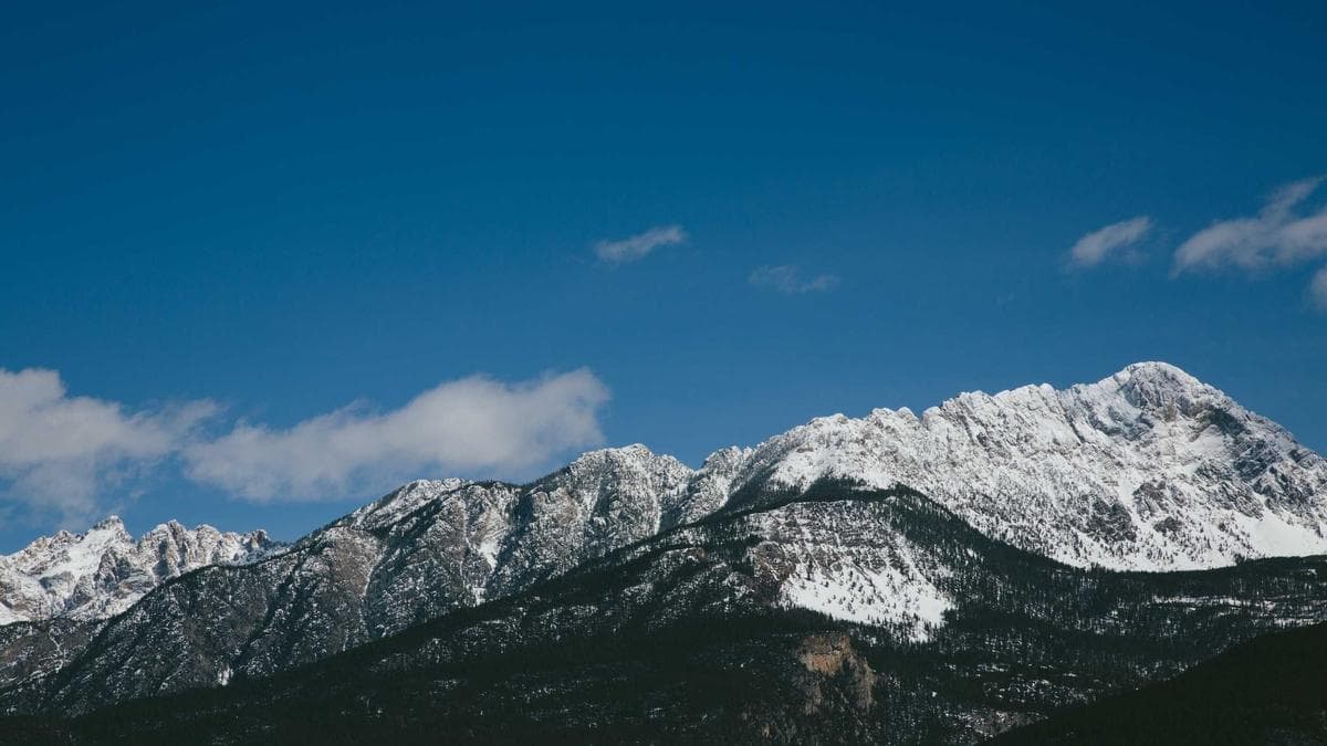 Wine Tasting Tübingen