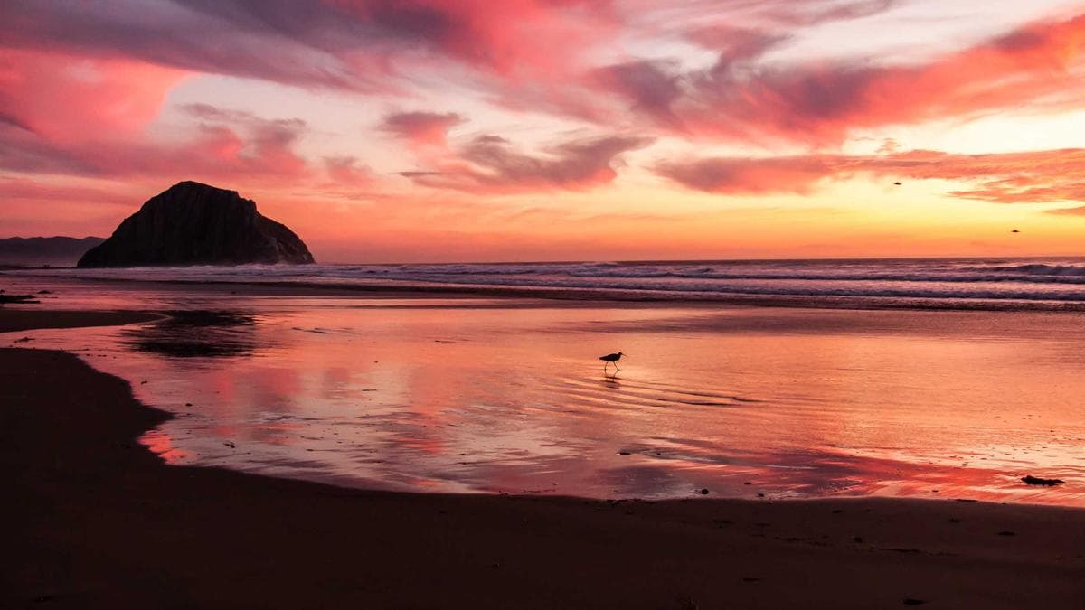 Brunch Session Weimar