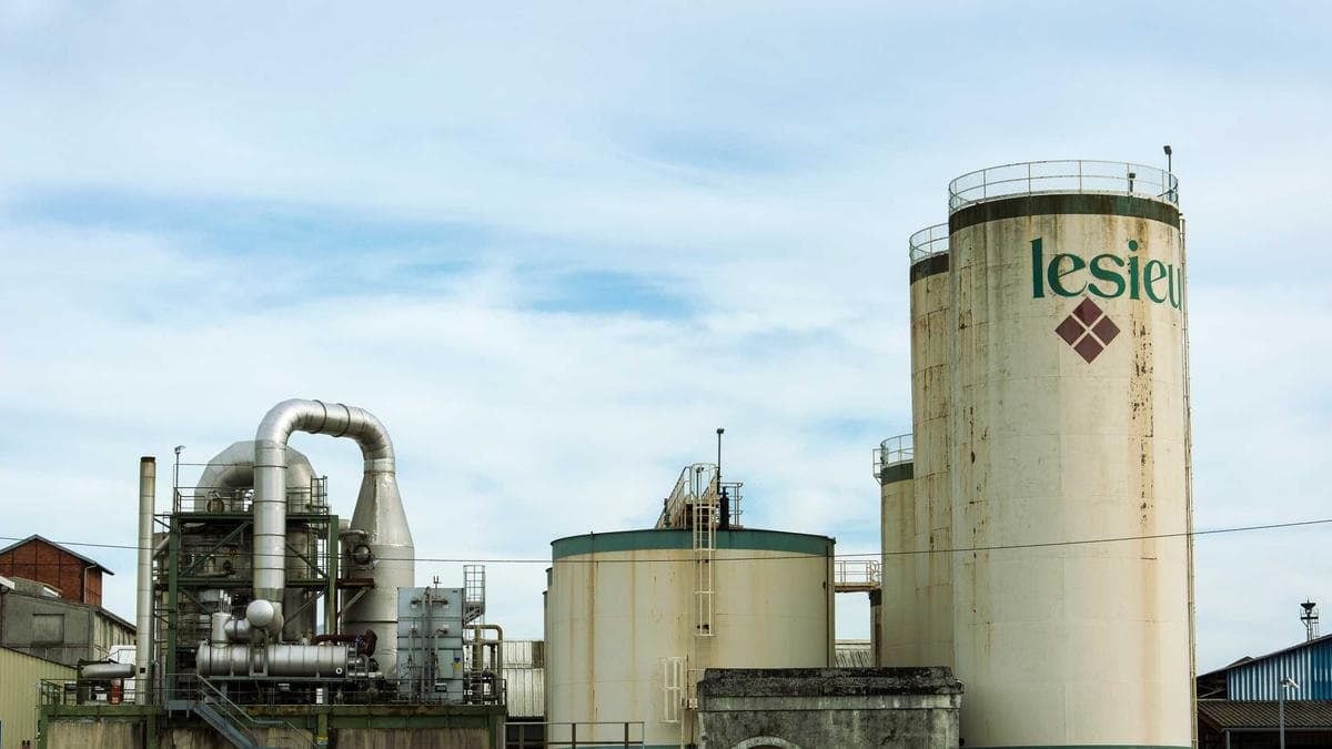 Rooftop Sundowner Würzburg