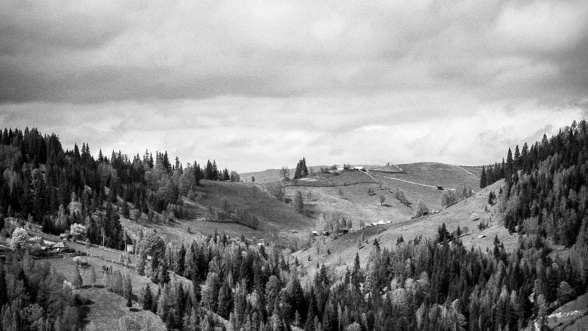 Weekend Special Würzburg